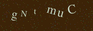 Validation image